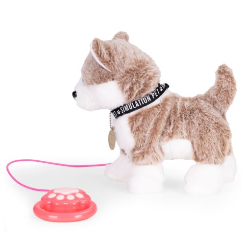 Interaktywny piesek na smyczy husky chodzi i merda ogonem melodyjki
