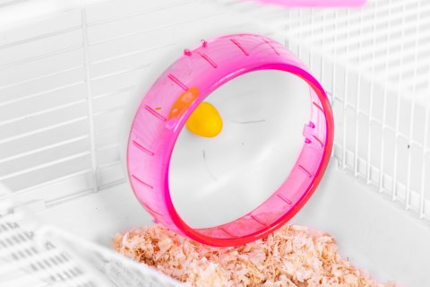 Klatka dla chomika świnki morskiej gryzoni pełne wyposażenie Petsi